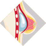 bust-007