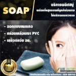 Promotion โรงงานผลิตสบู่