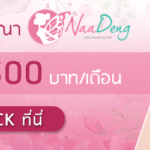 naadeng-ads-web-2500